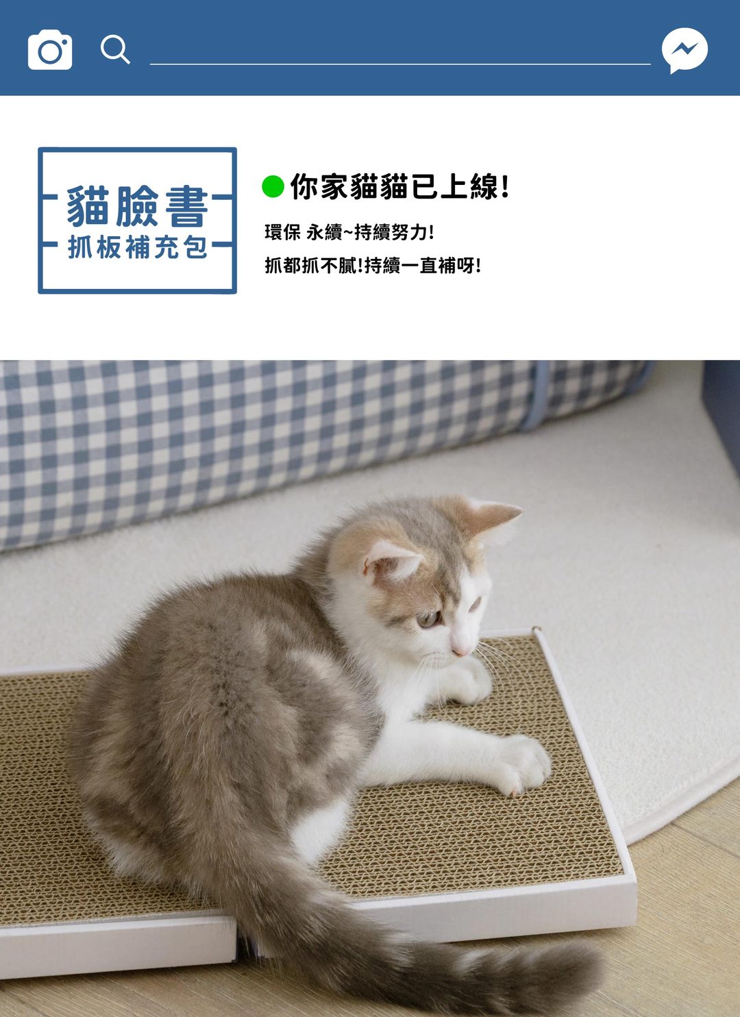 貓臉書 - 貓抓板補充包 ( 三入 ) / 喵覓MeowMie聯名