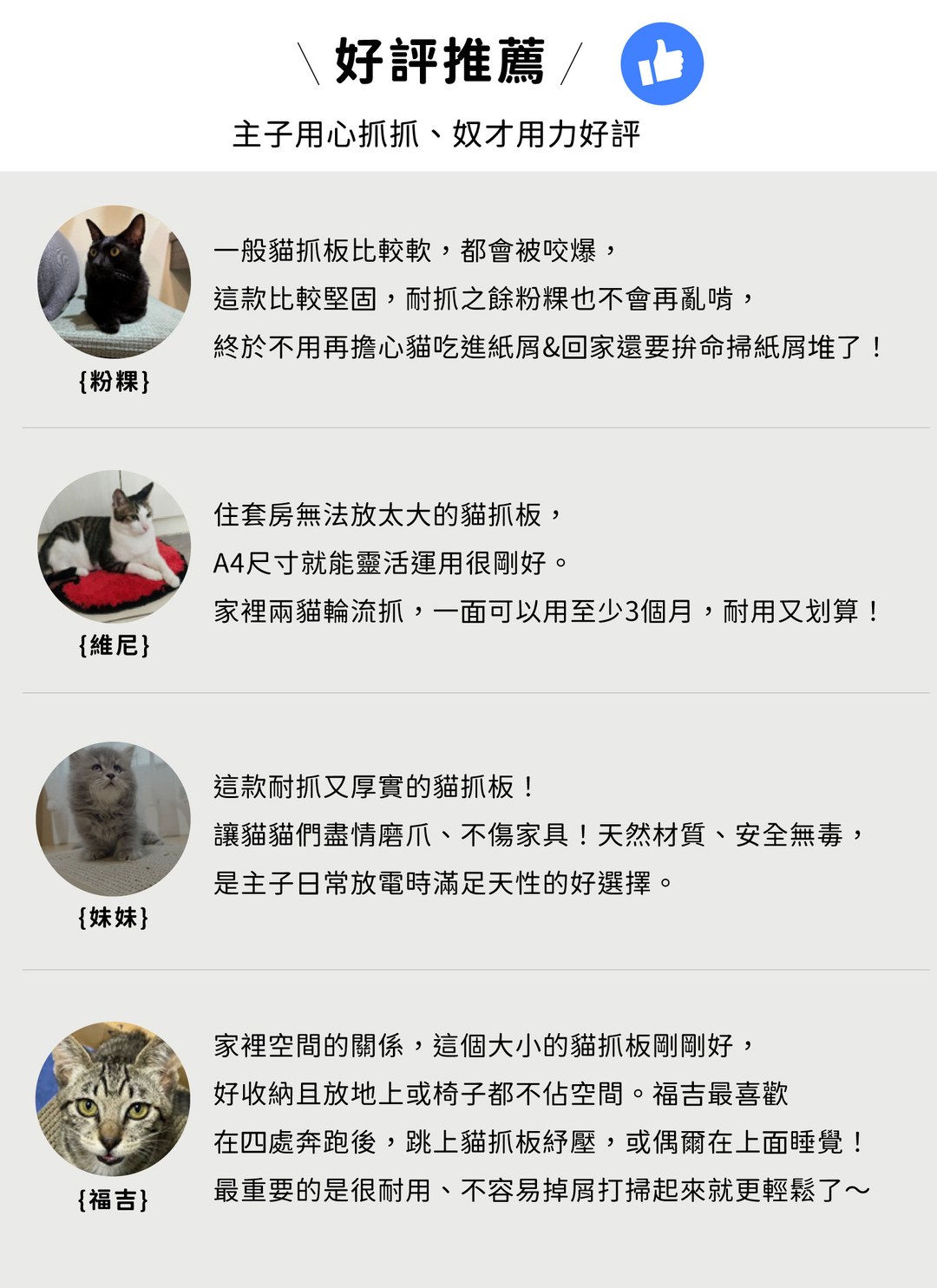 貓臉書 - 貓抓板補充包 ( 三入 ) / 喵覓MeowMie聯名